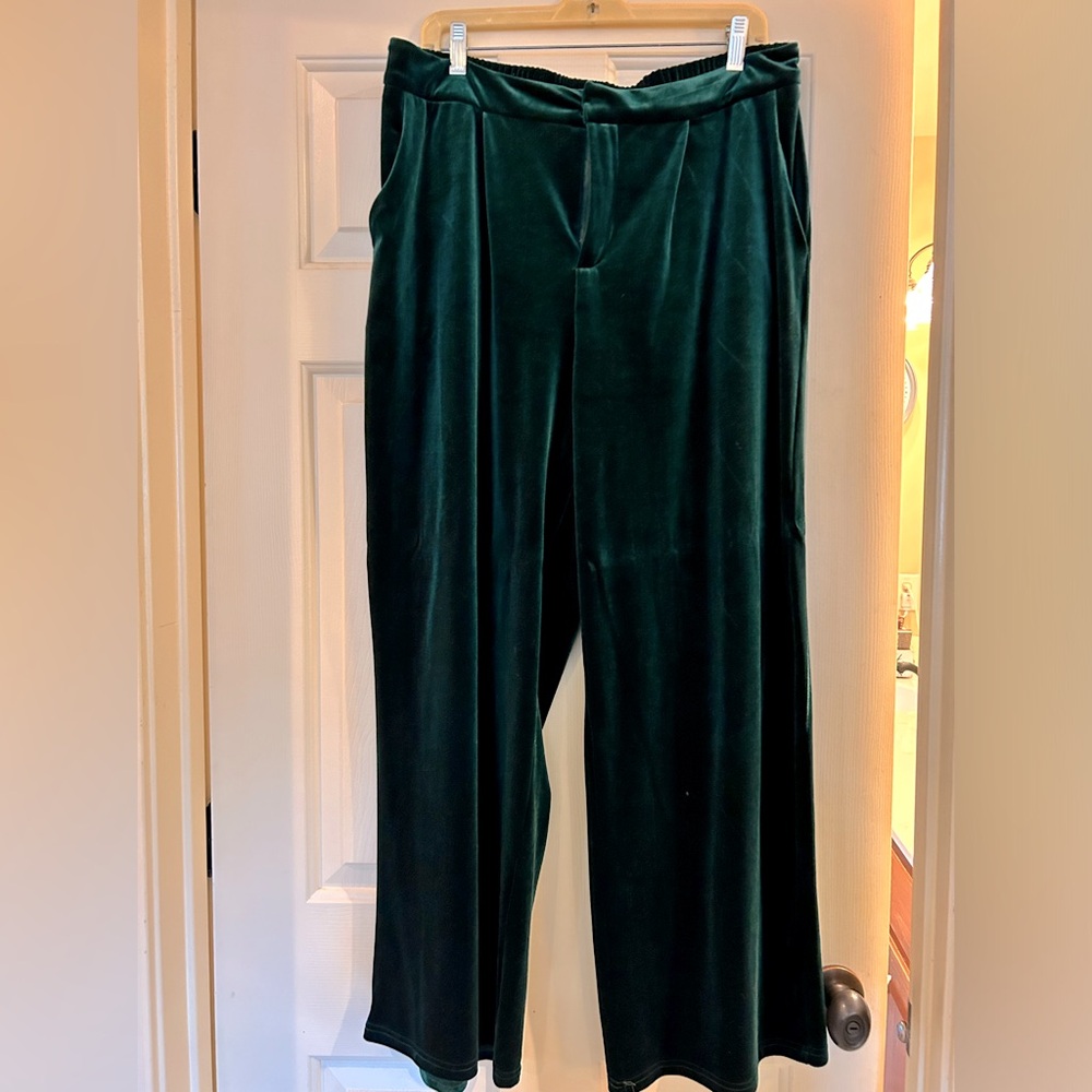 Beautiful emerald green velvet pants with elastic in back!
